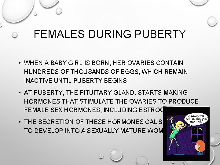 FEMALES DURING PUBERTY • WHEN A BABY GIRL IS BORN, HER OVARIES CONTAIN HUNDREDS