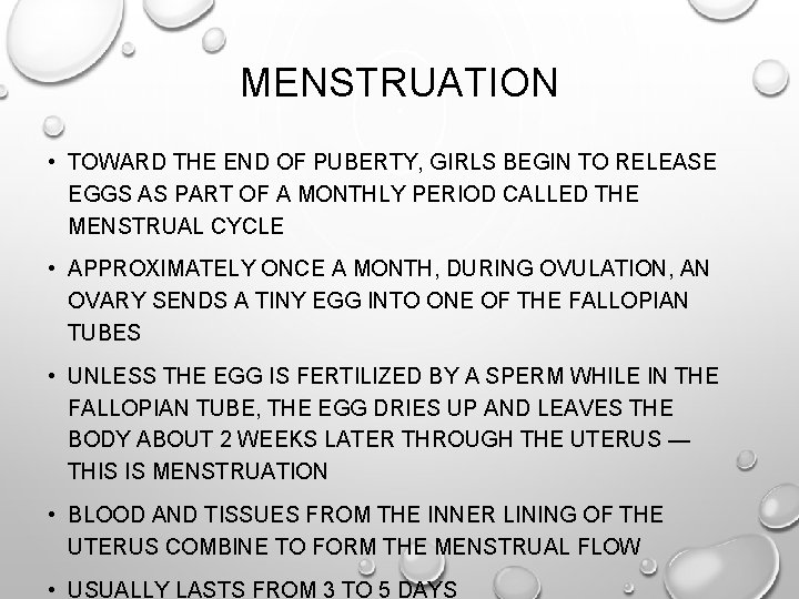 MENSTRUATION • TOWARD THE END OF PUBERTY, GIRLS BEGIN TO RELEASE EGGS AS PART