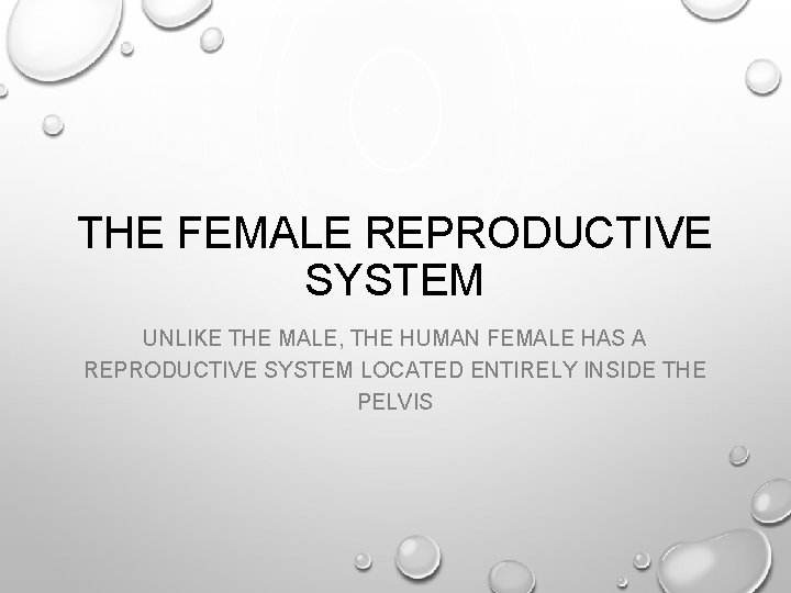 THE FEMALE REPRODUCTIVE SYSTEM UNLIKE THE MALE, THE HUMAN FEMALE HAS A REPRODUCTIVE SYSTEM