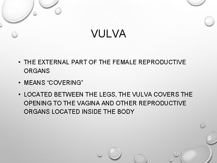 VULVA • THE EXTERNAL PART OF THE FEMALE REPRODUCTIVE ORGANS • MEANS “COVERING” •