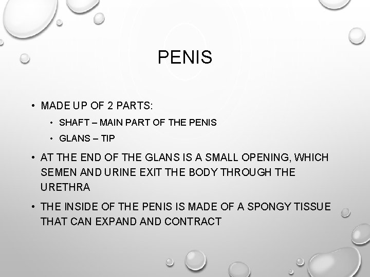 PENIS • MADE UP OF 2 PARTS: • SHAFT – MAIN PART OF THE