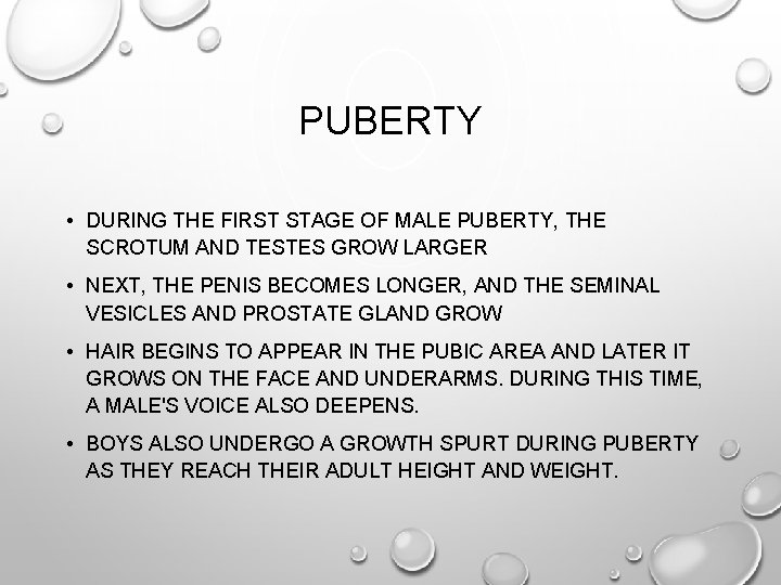 PUBERTY • DURING THE FIRST STAGE OF MALE PUBERTY, THE SCROTUM AND TESTES GROW