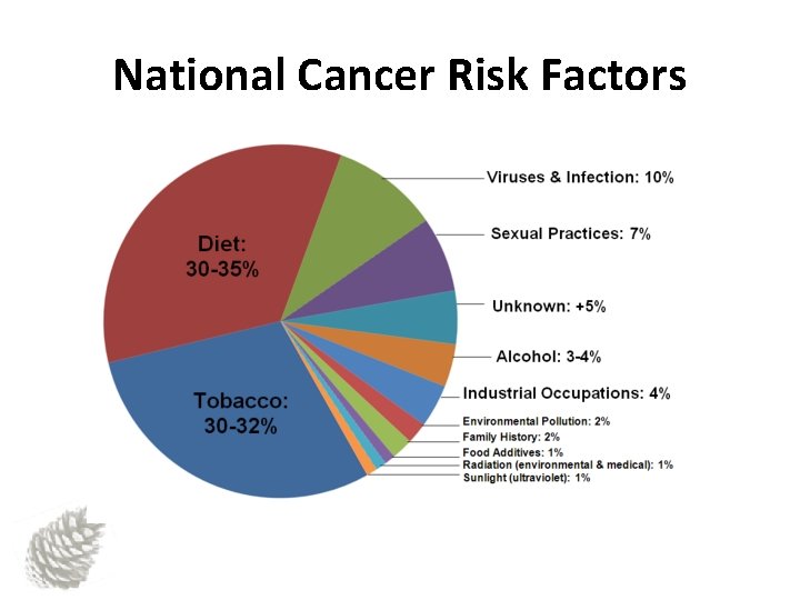 National Cancer Risk Factors 