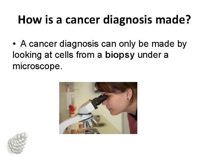 How is a cancer diagnosis made? • A cancer diagnosis can only be made