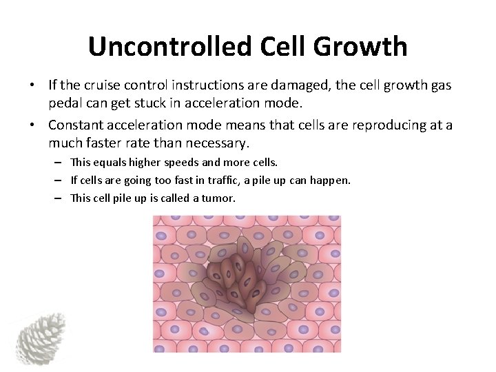 Uncontrolled Cell Growth • If the cruise control instructions are damaged, the cell growth