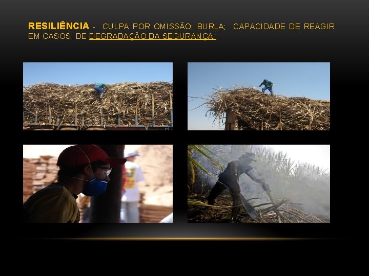 RESILIÊNCIA - CULPA POR OMISSÃO; BURLA; CAPACIDADE DE REAGIR EM CASOS DE DEGRADAÇÃO DA