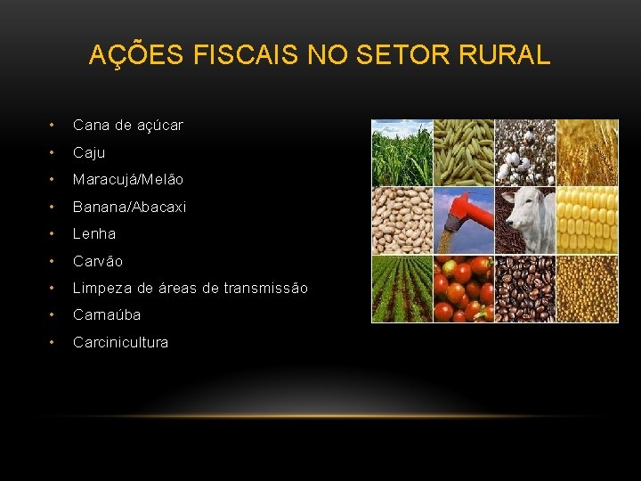 AÇÕES FISCAIS NO SETOR RURAL • Cana de açúcar • Caju • Maracujá/Melão •