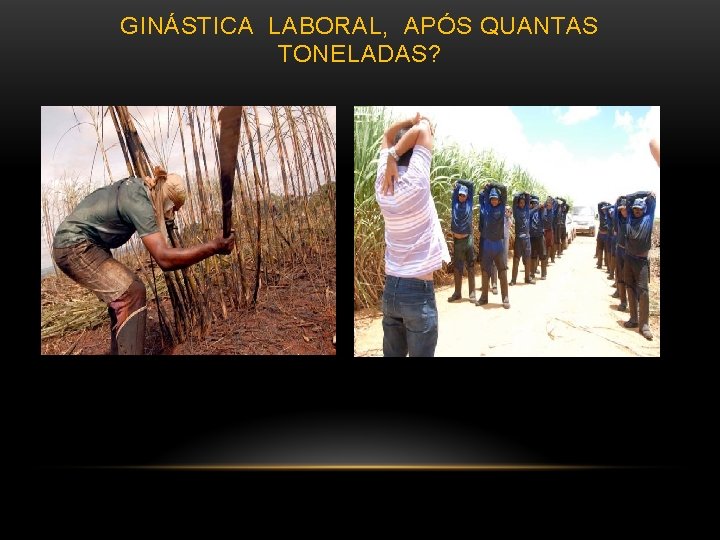 GINÁSTICA LABORAL, APÓS QUANTAS TONELADAS? 