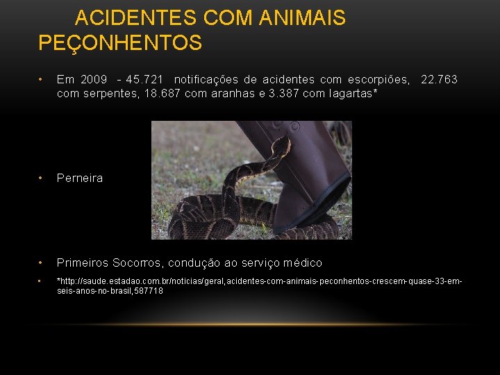  ACIDENTES COM ANIMAIS PEÇONHENTOS • Em 2009 - 45. 721 notificações de acidentes