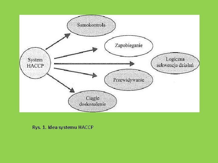 Rys. 1. Idea systemu HACCP 