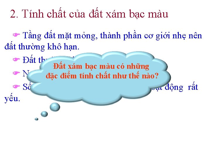 2. Tính chất của đất xám bạc màu Tầng đất mặt mỏng, thành phần