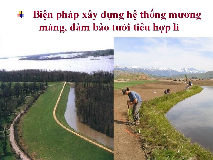 Biện pháp xây dựng hệ thống mương máng, đảm bảo tưới tiêu hợp lí