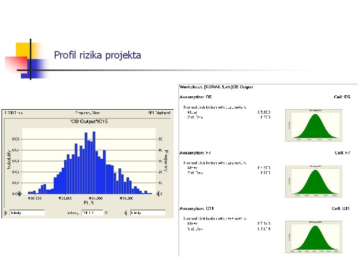 Profil rizika projekta 