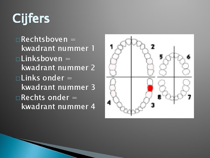 Cijfers � Rechtsboven = kwadrant nummer � Links onder = kwadrant nummer � Rechts