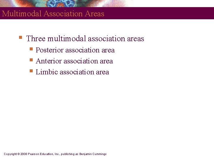 Multimodal Association Areas § Three multimodal association areas § Posterior association area § Anterior