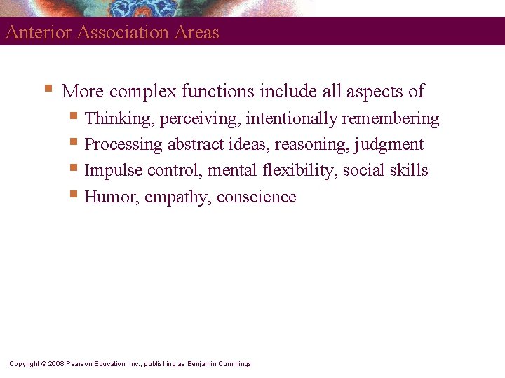 Anterior Association Areas § More complex functions include all aspects of § Thinking, perceiving,