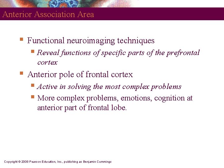 Anterior Association Area § Functional neuroimaging techniques § Reveal functions of specific parts of