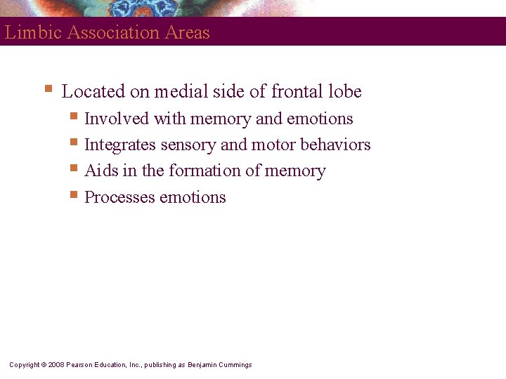 Limbic Association Areas § Located on medial side of frontal lobe § Involved with
