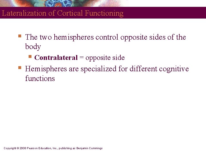 Lateralization of Cortical Functioning § The two hemispheres control opposite sides of the body