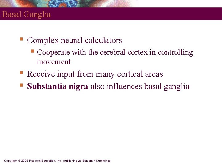Basal Ganglia § Complex neural calculators § Cooperate with the cerebral cortex in controlling
