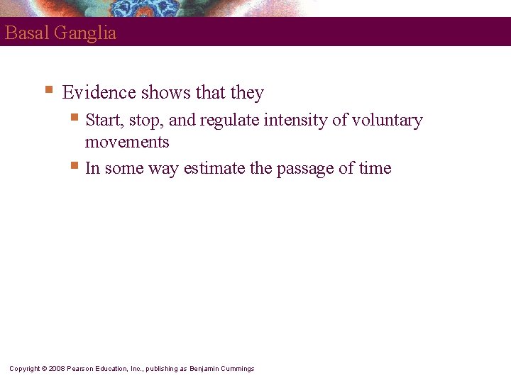 Basal Ganglia § Evidence shows that they § Start, stop, and regulate intensity of