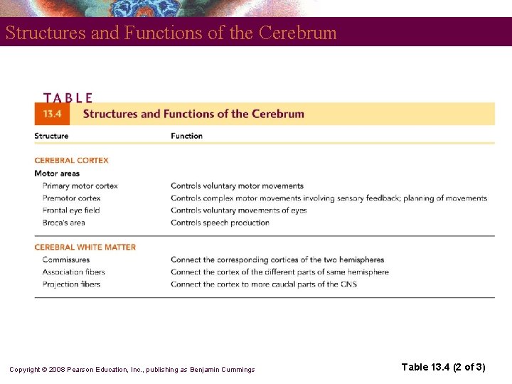 Structures and Functions of the Cerebrum Copyright © 2008 Pearson Education, Inc. , publishing