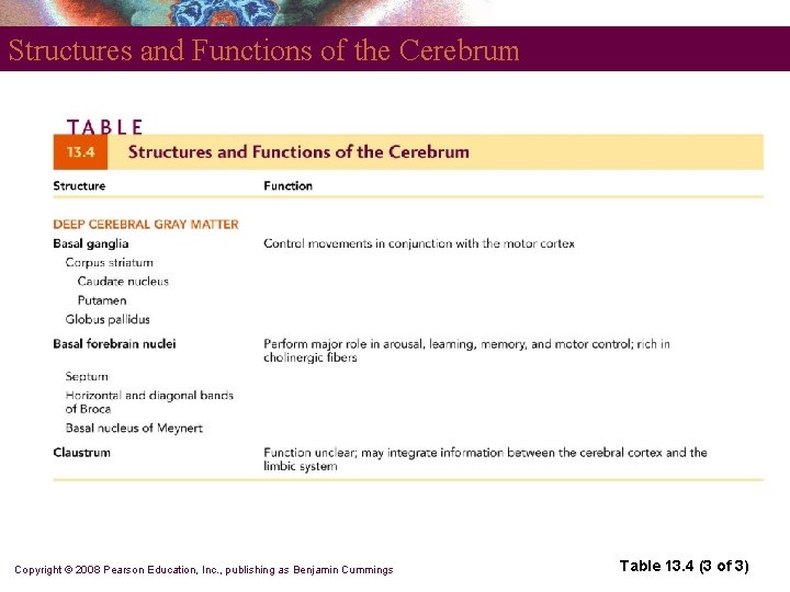 Structures and Functions of the Cerebrum Copyright © 2008 Pearson Education, Inc. , publishing
