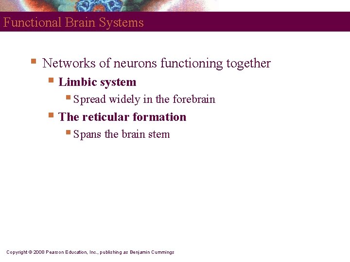 Functional Brain Systems § Networks of neurons functioning together § Limbic system § Spread