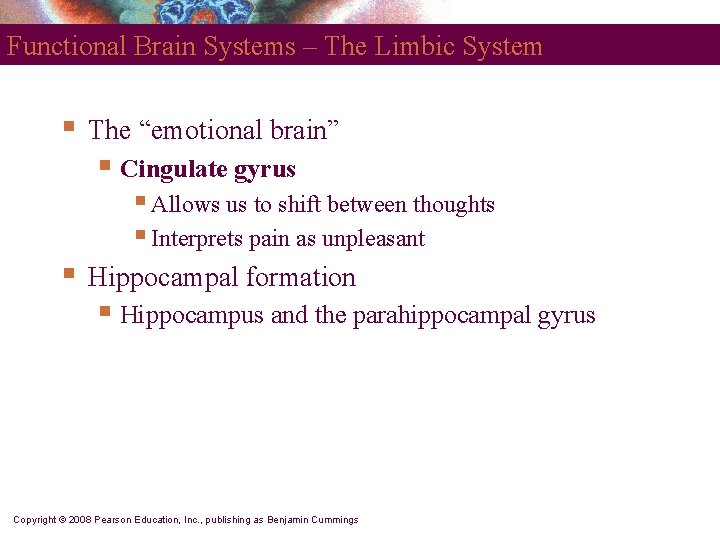 Functional Brain Systems – The Limbic System § The “emotional brain” § Cingulate gyrus