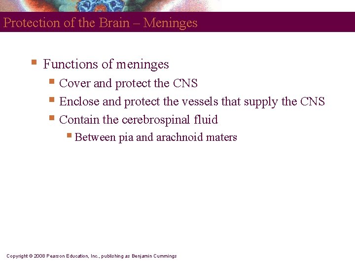 Protection of the Brain – Meninges § Functions of meninges § Cover and protect