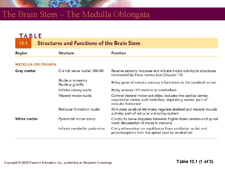 The Brain Stem – The Medulla Oblongata Copyright © 2008 Pearson Education, Inc. ,
