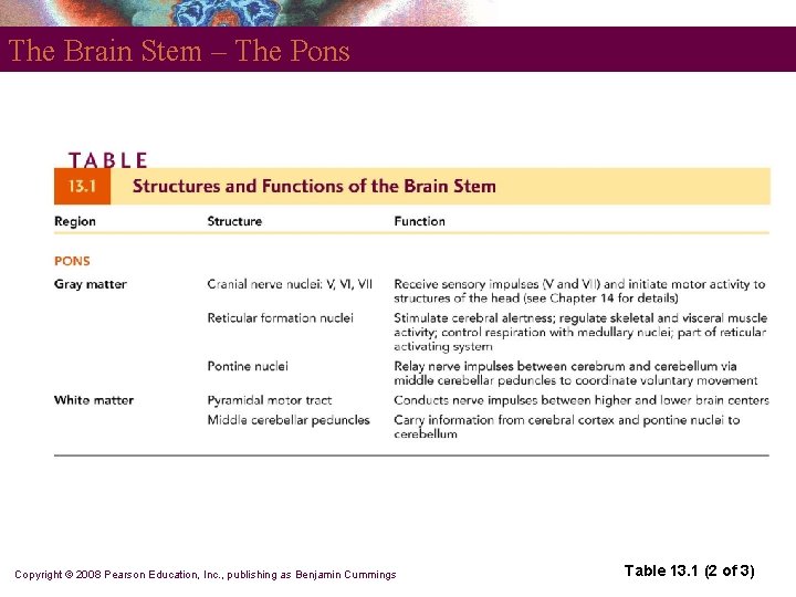 The Brain Stem – The Pons Copyright © 2008 Pearson Education, Inc. , publishing