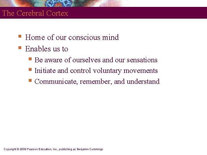 The Cerebral Cortex § § Home of our conscious mind Enables us to §