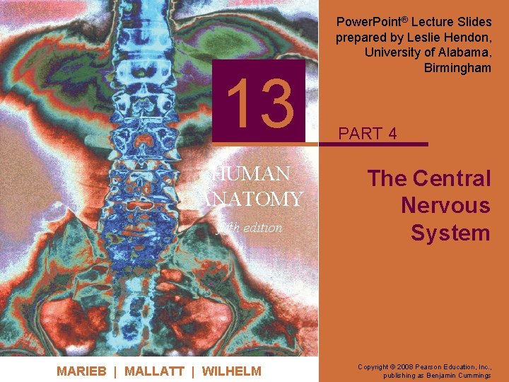13 HUMAN ANATOMY fifth edition MARIEB | MALLATT | WILHELM Power. Point® Lecture Slides