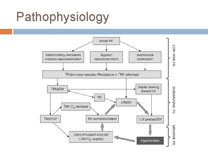 Pathophysiology 