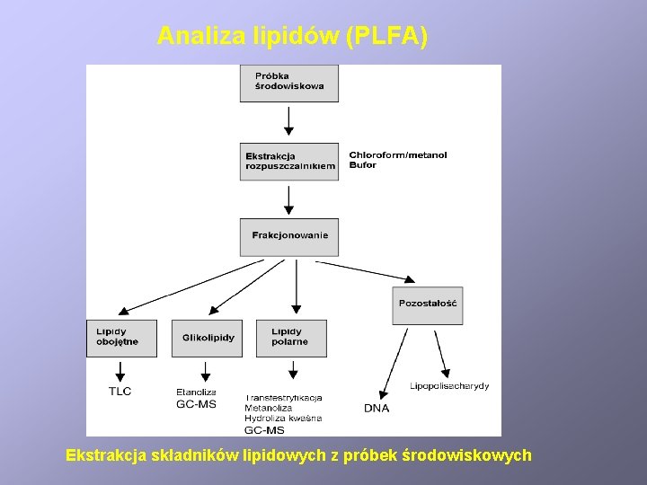 Analiza lipidów (PLFA) Ekstrakcja składników lipidowych z próbek środowiskowych 