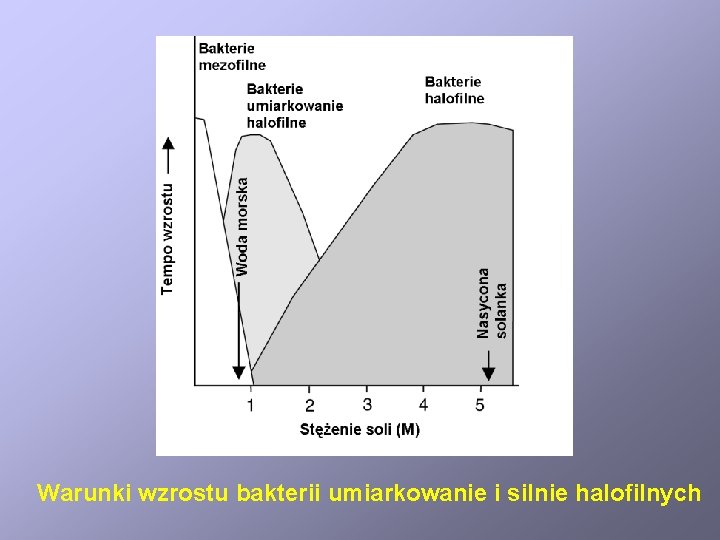 Warunki wzrostu bakterii umiarkowanie i silnie halofilnych 