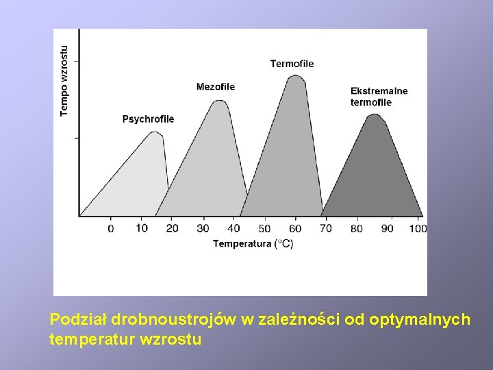 Podział drobnoustrojów w zależności od optymalnych temperatur wzrostu 