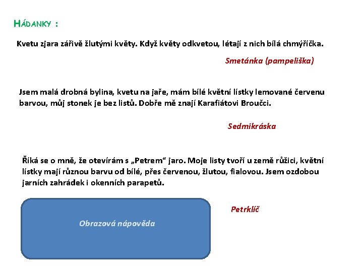 HÁDANKY : Kvetu zjara zářivě žlutými květy. Když květy odkvetou, létají z nich bílá