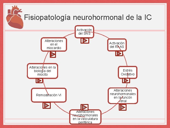Fisiopatología neurohormonal de la IC Activación del SNS Alteraciones en el miocardio Activación del