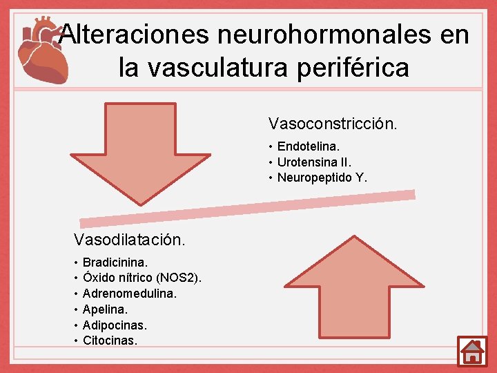 Alteraciones neurohormonales en la vasculatura periférica Vasoconstricción. • Endotelina. • Urotensina II. • Neuropeptido