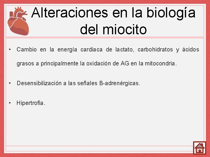 Alteraciones en la biología del miocito • Cambio en la energía cardiaca de lactato,