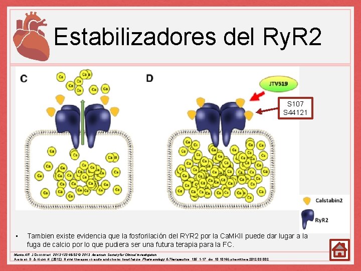 Estabilizadores del Ry. R 2 S 107 S 44121 • Tambien existe evidencia que