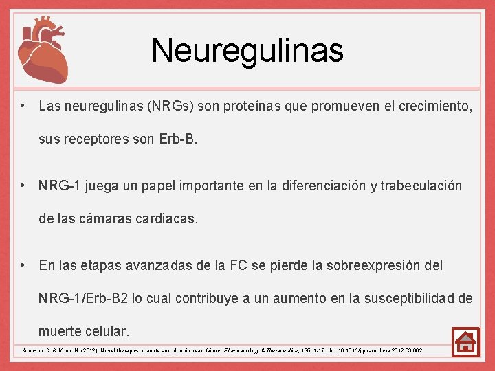 Neuregulinas • Las neuregulinas (NRGs) son proteínas que promueven el crecimiento, sus receptores son
