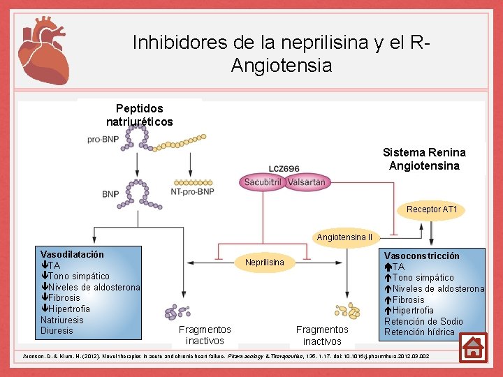 Inhibidores de la neprilisina y el RAngiotensia Peptidos natriuréticos Sistema Renina Angiotensina Receptor AT