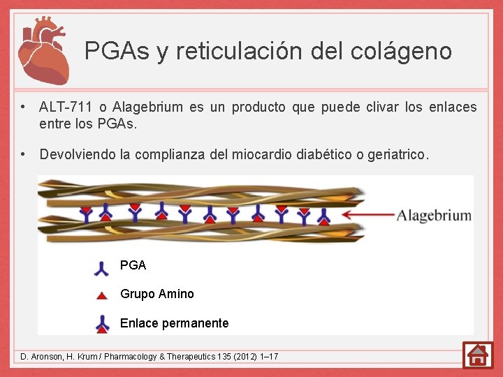 PGAs y reticulación del colágeno • ALT-711 o Alagebrium es un producto que puede