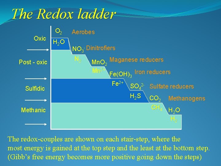 The Redox ladder Oxic Post - oxic Sulfidic O 2 H 2 O Aerobes