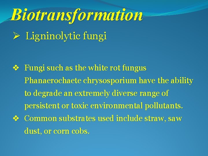 Biotransformation Ø Ligninolytic fungi v Fungi such as the white rot fungus Phanaerochaete chrysosporium
