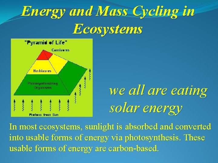 Energy and Mass Cycling in Ecosystems we all are eating solar energy In most