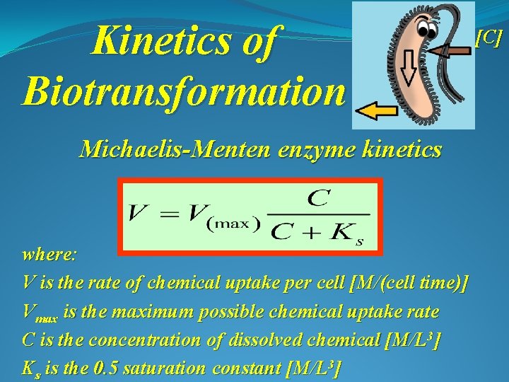 Kinetics of Biotransformation Michaelis-Menten enzyme kinetics where: V is the rate of chemical uptake